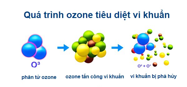 công nghệ khử trùng bằng ozone