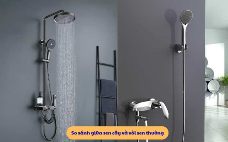 So sánh sen cây và vòi sen thường
