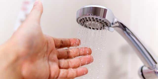cách vệ sinh sen cây
