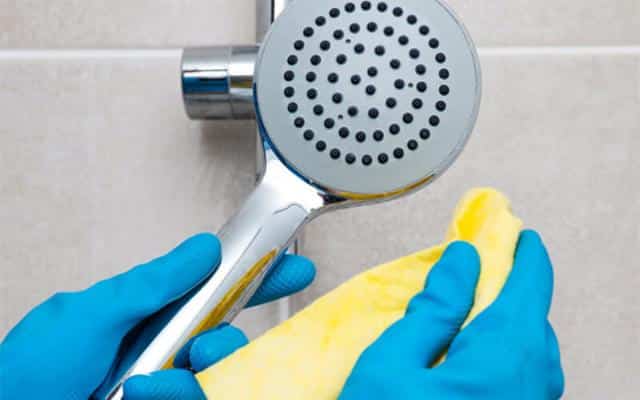 cách vệ sinh sen cây