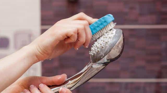 cách vệ sinh sen cây