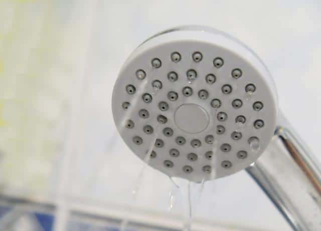 Những vấn đề thường gặp ở sen cây