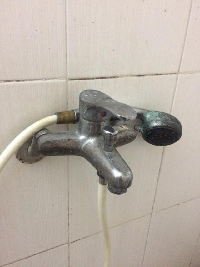 Những vấn đề thường gặp ở sen cây