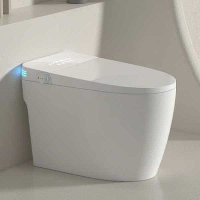 Bồn cầu thông minh Daros DR-DT01